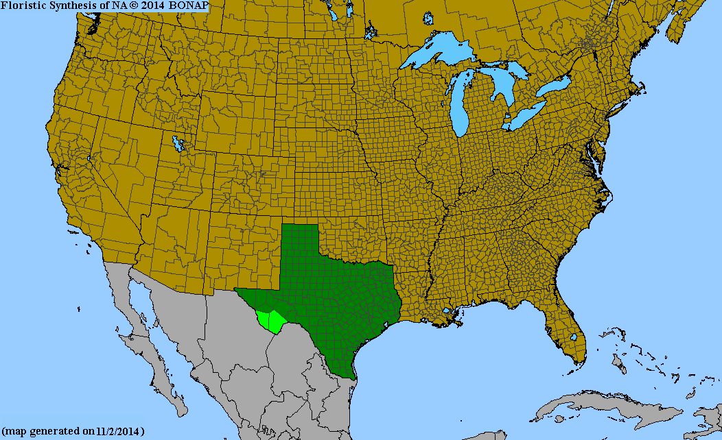 County distribution map of Hechtia texensis - Texas False Agave